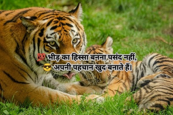 Badmashi Shayari 2 Line Hindi